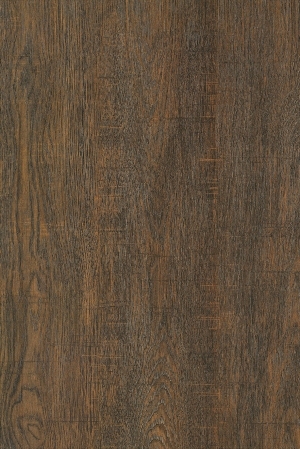 Wood Texture