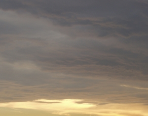 黎明天空-ID:404303564