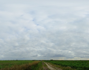 全景天空-阴天-ID:115392757