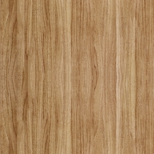 Wood Texture