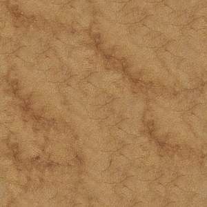 Rough Grain Leather