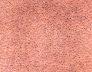 Rough Grain Leather