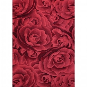 美瑞德地毯  花卉风格  JHH-011-ID:4001048
