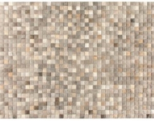 Modern Rug