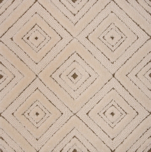 Modern Rug