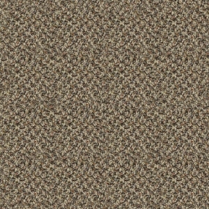 Modern Rug