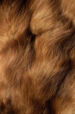 Animal Fur