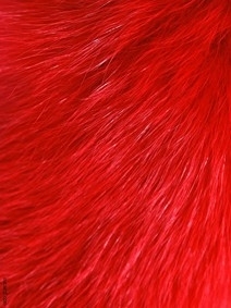 Animal Fur