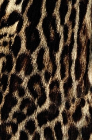 Animal Fur