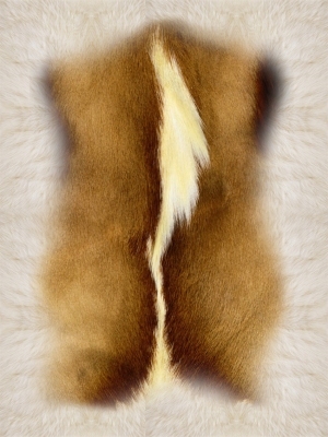 Animal Fur