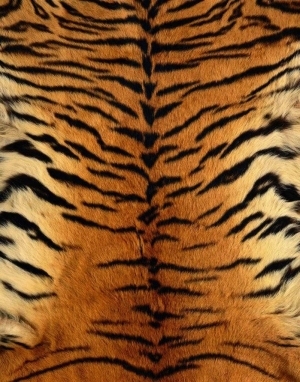 Animal Fur