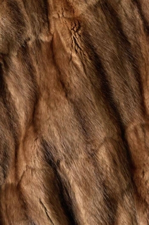 Animal Fur