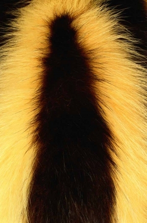 Animal Fur