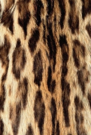 Animal Fur