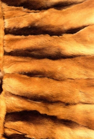 Animal Fur