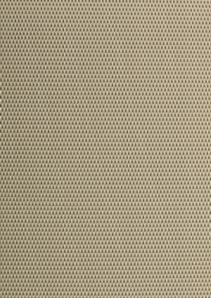 现代BOLON地毯-ID:4004306
