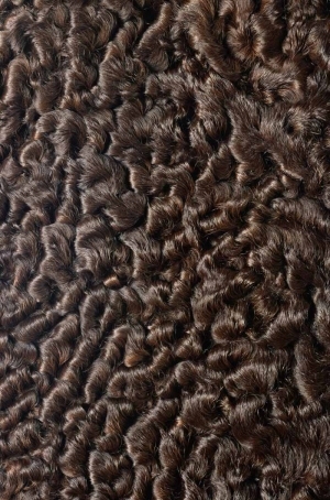 Animal Fur