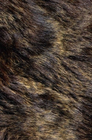 Animal Fur