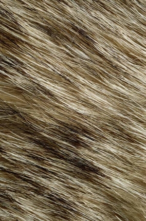 Animal Fur