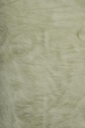 Animal Fur