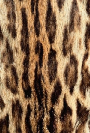 Animal Fur