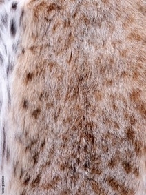 Animal Fur