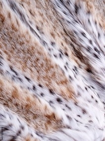 Animal Fur