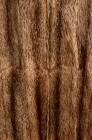 Animal Fur