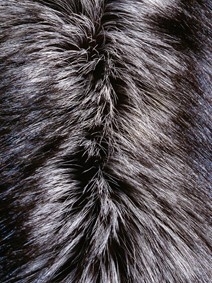 Animal Fur