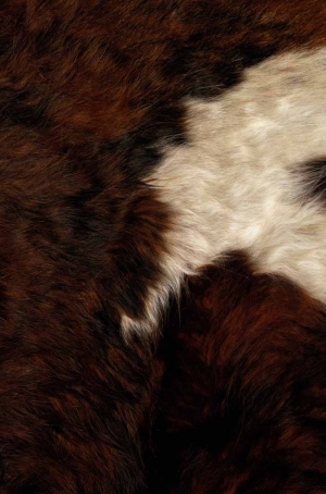 Animal Fur