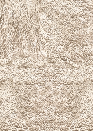 Animal Carpet