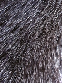 Animal Fur