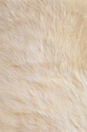 Animal Fur