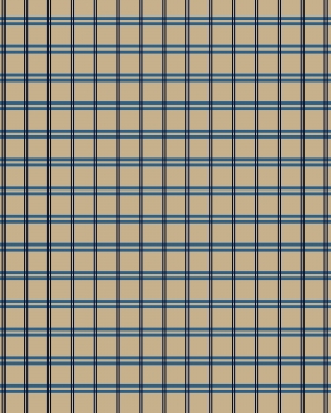 现代格子布料-ID:904238593