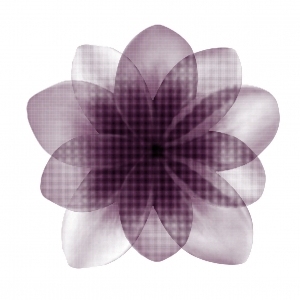 现代植物图案花纹壁纸-ID:4013636