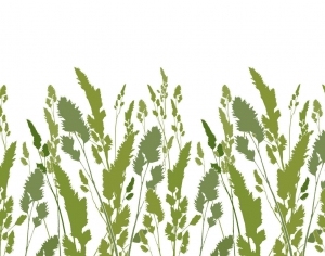 现代植物图案花纹壁纸-ID:4013773