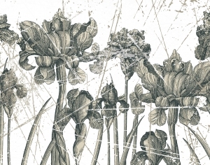 现代植物图案花纹壁纸-ID:4013862