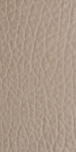 Rough Grain Leather