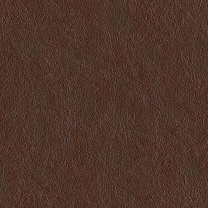 Fine Grain Leather