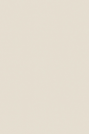 细纹皮革-ID:4035258