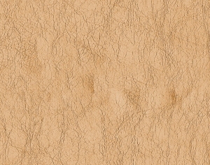 Rough Grain Leather