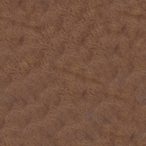 Rough Grain Leather