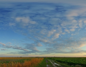  The Sky-ID:372238328