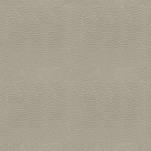 Fine Grain Leather