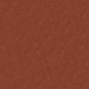 Fine Grain Leather