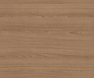 Wood Texture