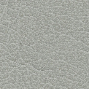 Rough Grain Leather