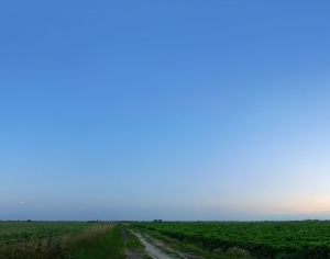 全景天空-蓝天少云-ID:4036013