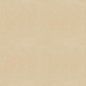 Fine Grain Leather