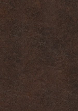 Rough Grain Leather